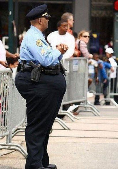 Fat Cops (14 pics)