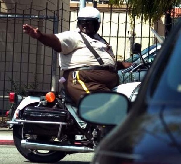 Fat Cops (14 pics)