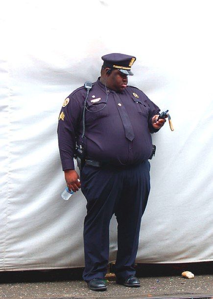 Fat Cops (14 pics)