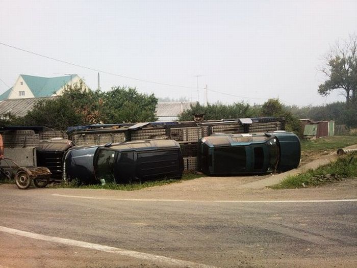 How to Destroy Five Land Rovers at Once (10 pics)