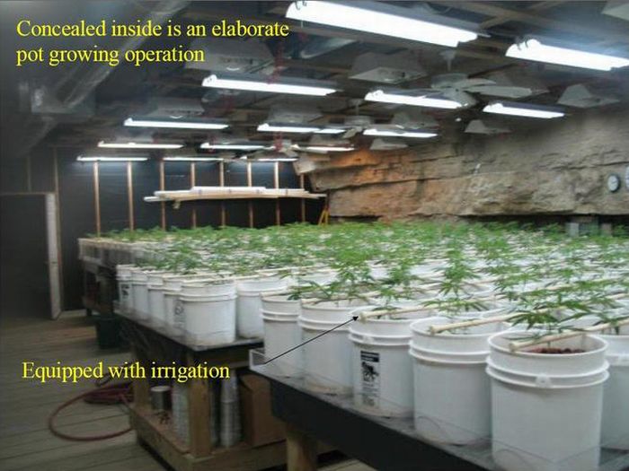 Most Elaborate Pot Growing Operation (13 pics)