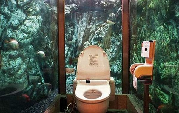 The Most Unusual Toilets Around the World (12 pics)