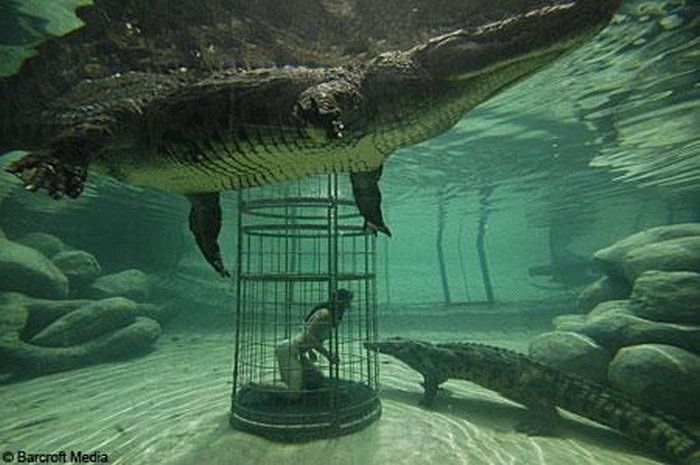 Extreme Diving (5 pics)