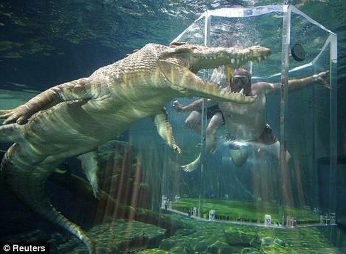 Extreme Diving (5 pics)