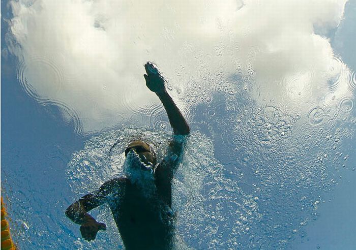 Underwater Photos of Swimmers (24 pics)