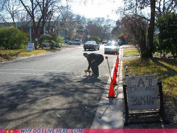 When Your Neighbors Are Too Weird (49 pics)