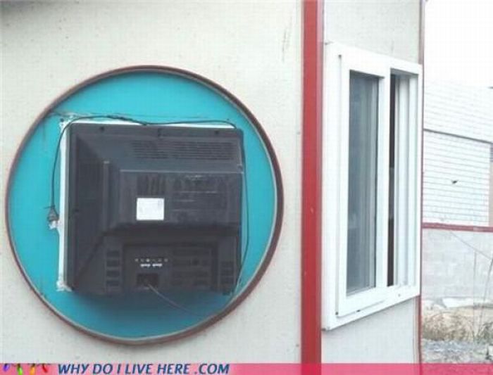 When Your Neighbors Are Too Weird (49 pics)