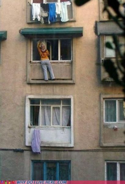 When Your Neighbors Are Too Weird (49 pics)