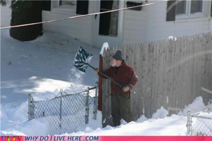 When Your Neighbors Are Too Weird (49 pics)