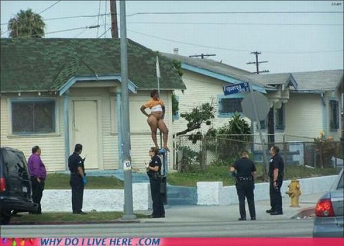 When Your Neighbors Are Too Weird (49 pics)