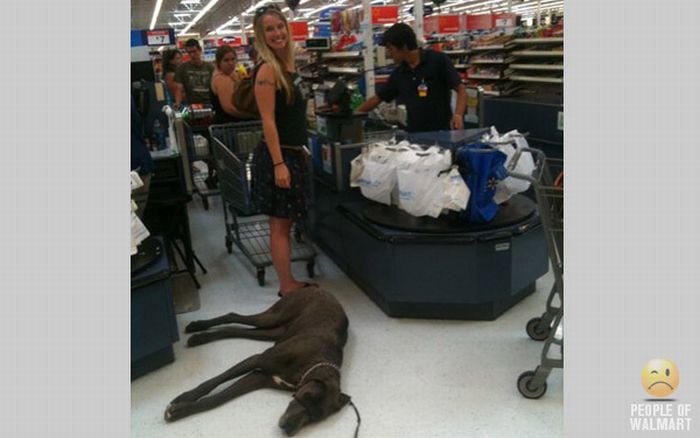 People of WalMart. Part 6 (85 pics)