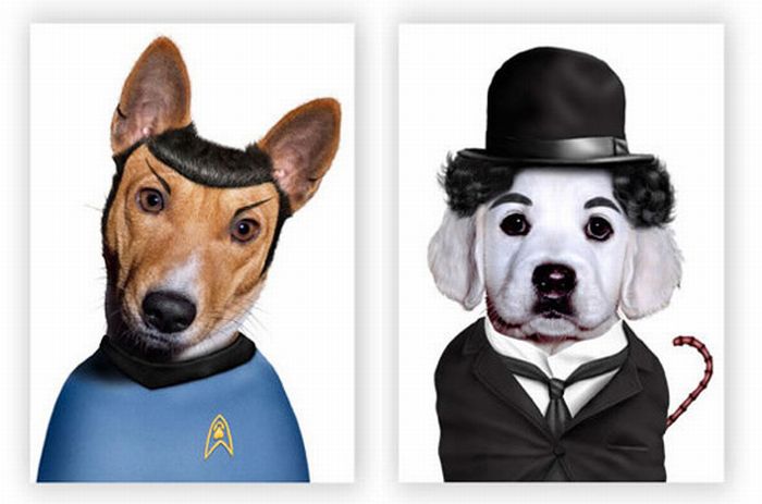 Pets as Famous People (9 pics)