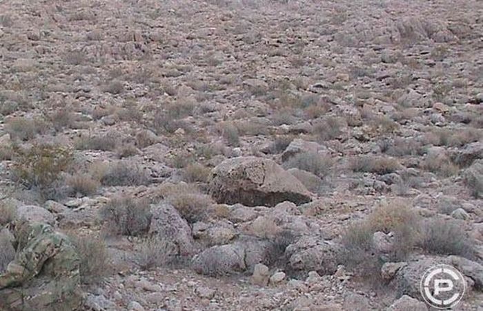 Masters of Disguise (18 pics)