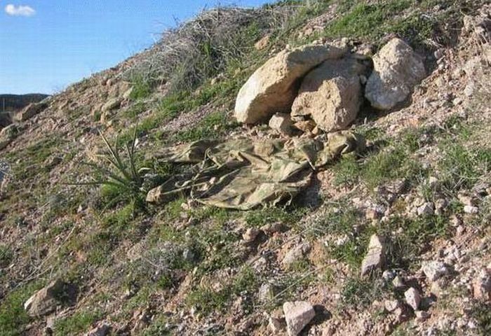 Masters of Disguise (18 pics)