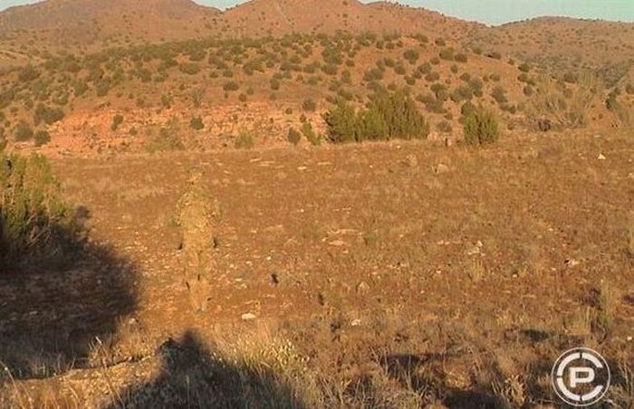 Masters of Disguise (18 pics)