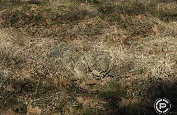 Masters of Disguise (18 pics)