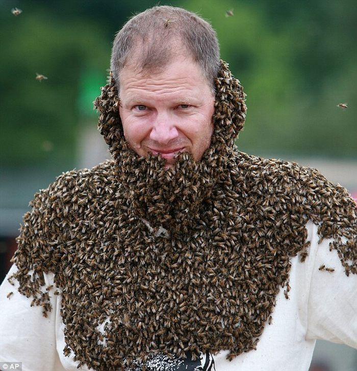 The Best Bee Beard Competition (6 pics)