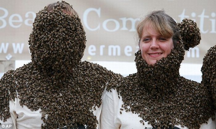 The Best Bee Beard Competition (6 pics)
