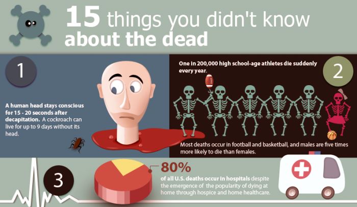 15 Things You Didn't Know About Death (infographic)