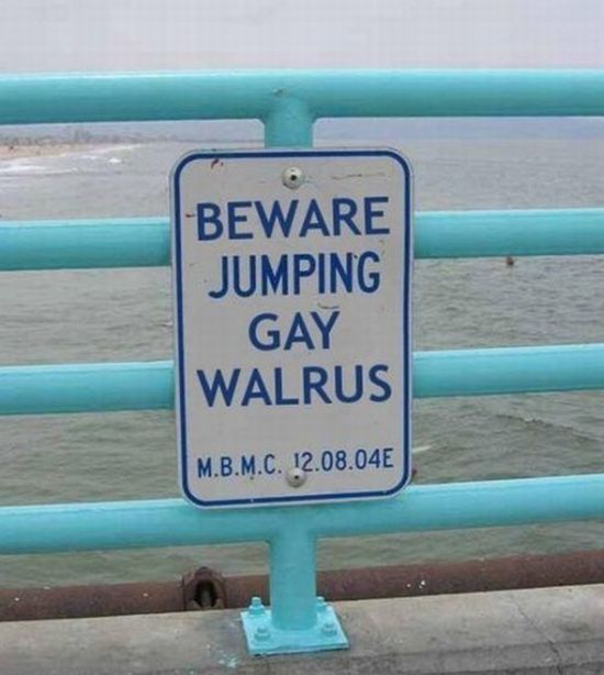 Acid Picdump (132 pics)