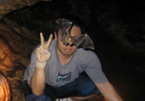 Acid Picdump (132 pics)