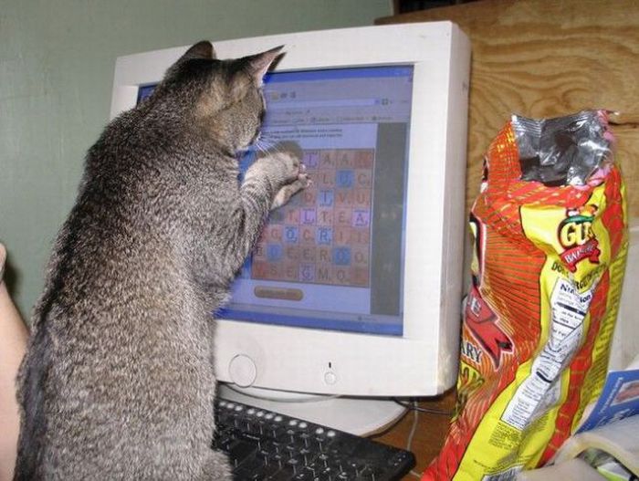 Acid Picdump (132 pics)