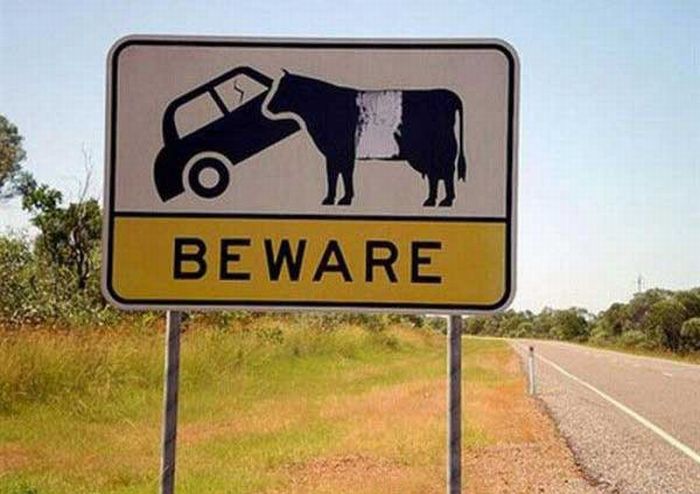 Acid Picdump (132 pics)