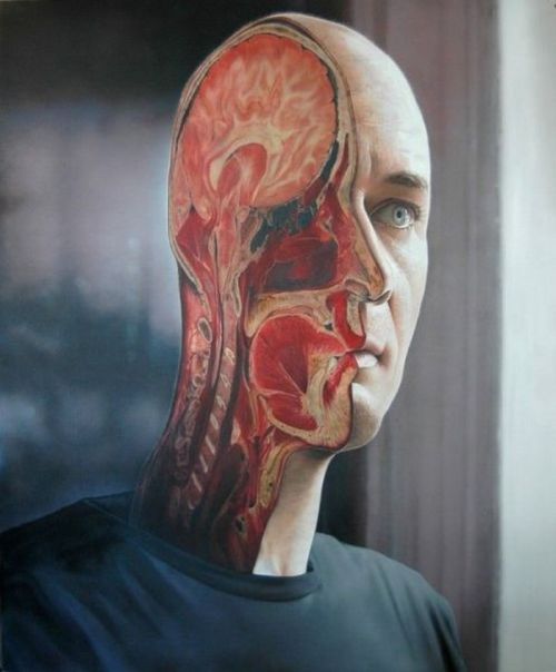 Acid Picdump (132 pics)