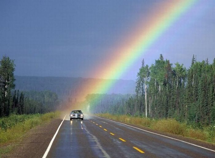 Acid Picdump (132 pics)