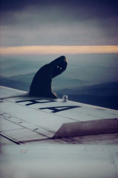 Acid Picdump (132 pics)
