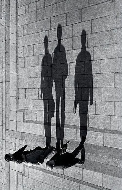 Living Shadows (17 pics)