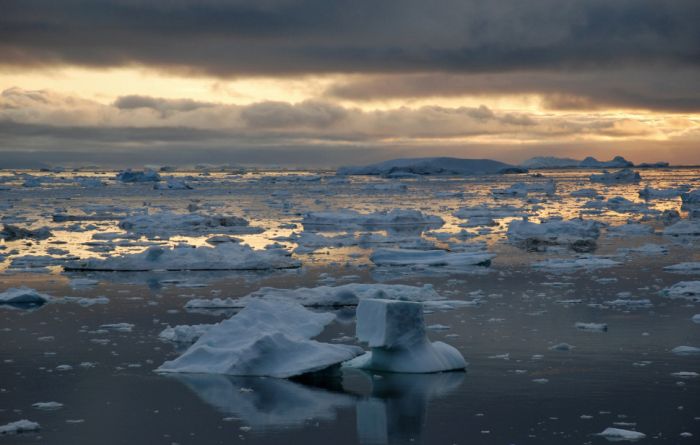 This is Arctic (25 pics)