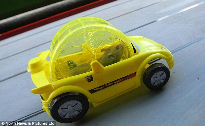 Acid Picdump (147 pics)