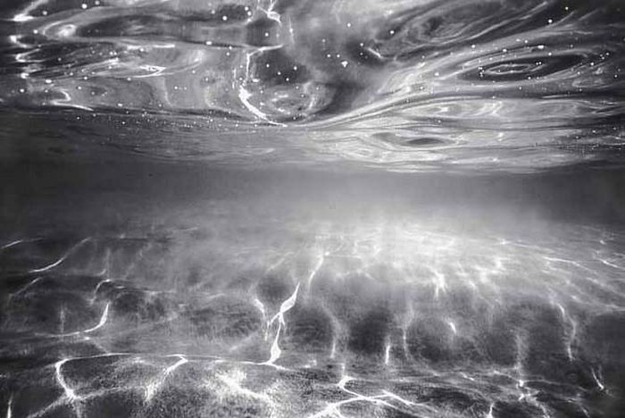 Black and White Underwater Photos (72 pics)
