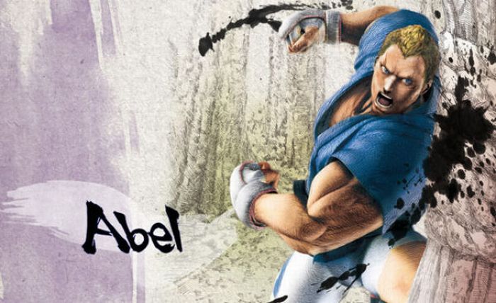 Street Fighter IV. Beautiful Artworks (29 pics)