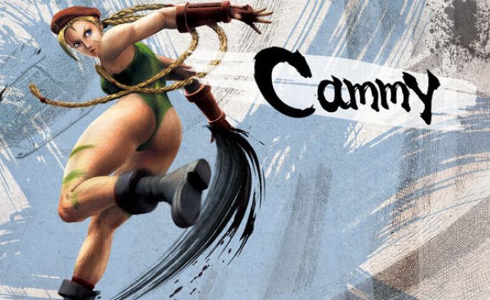 Street Fighter IV. Beautiful Artworks (29 pics)