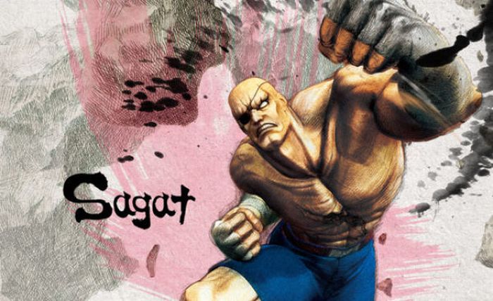 Street Fighter IV. Beautiful Artworks (29 pics)