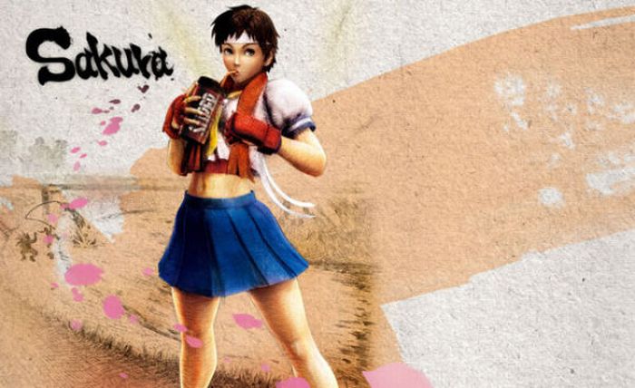 Street Fighter IV. Beautiful Artworks (29 pics)