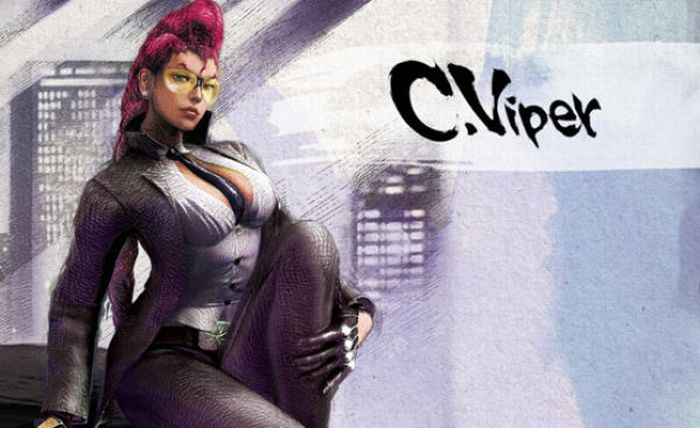 Street Fighter IV. Beautiful Artworks (29 pics)
