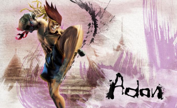 Street Fighter IV. Beautiful Artworks (29 pics)