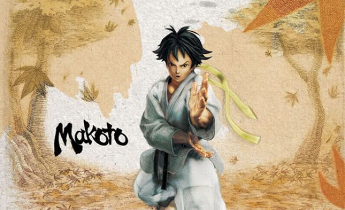 Street Fighter IV. Beautiful Artworks (29 pics)
