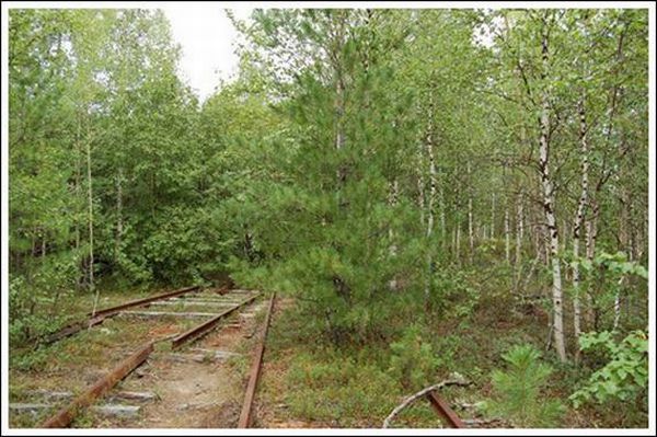 Abandoned Railroad With a Train (45 pics)