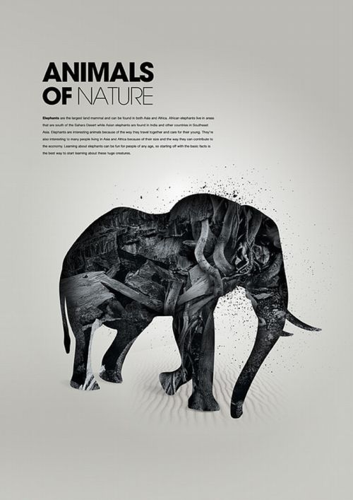 Awesome Animal Artworks (26 pics)