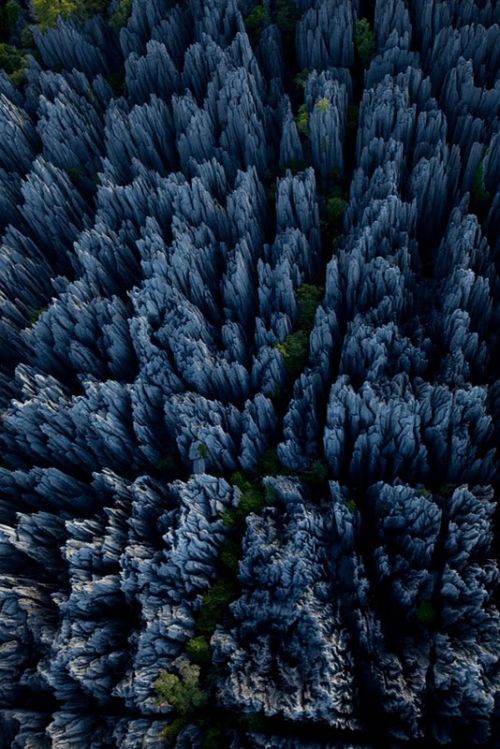 The Stone Forest of Madagascar (19 pics)