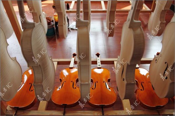 How Violins are Made (43 pics)