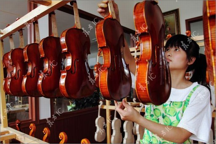 How Violins are Made (43 pics)