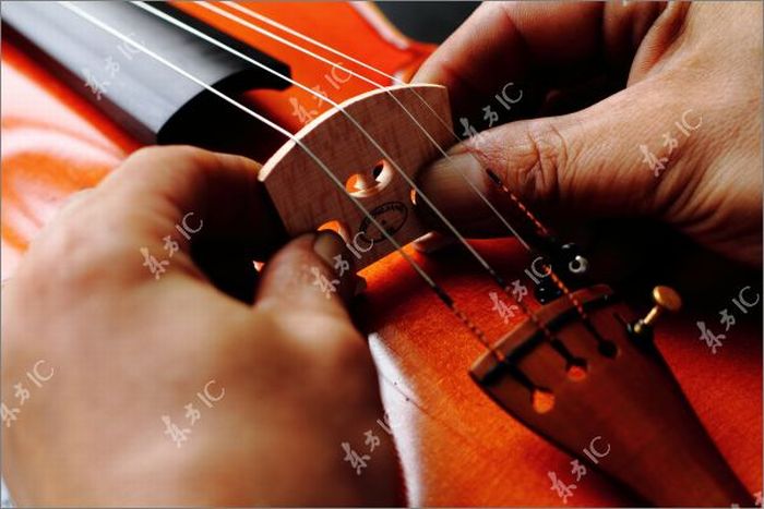 How Violins are Made (43 pics)