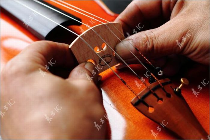 How Violins are Made (43 pics)