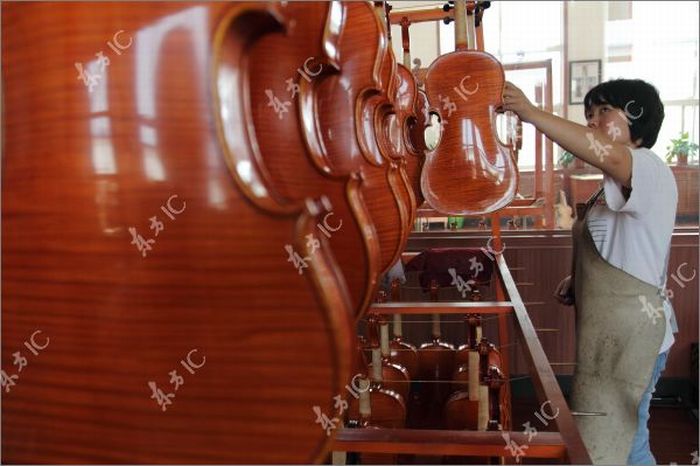 How Violins are Made (43 pics)