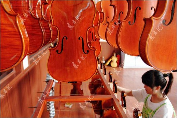 How Violins are Made (43 pics)